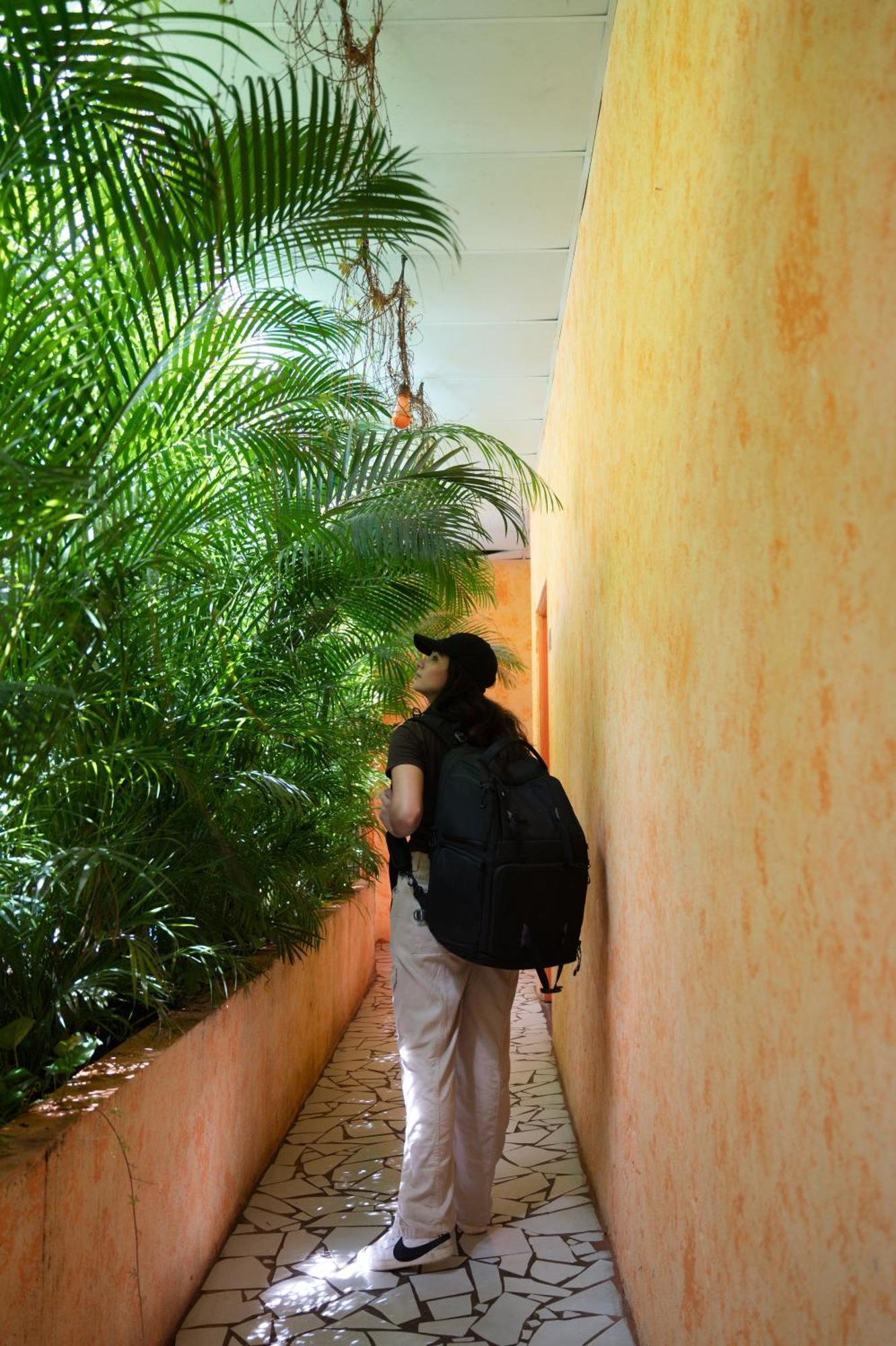 Macarena Hostel Flores Εξωτερικό φωτογραφία